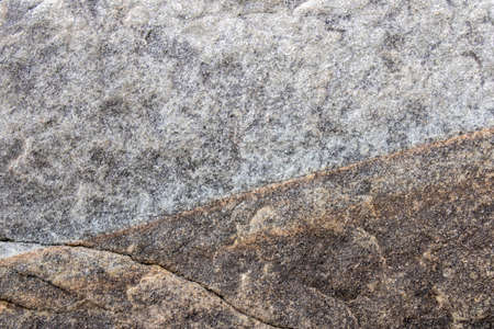 Close-up of the surface of marine rocks at low tide