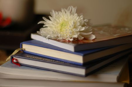chrysanthemum on booksの写真素材