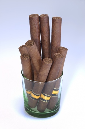 Nine cigars in a glassの写真素材