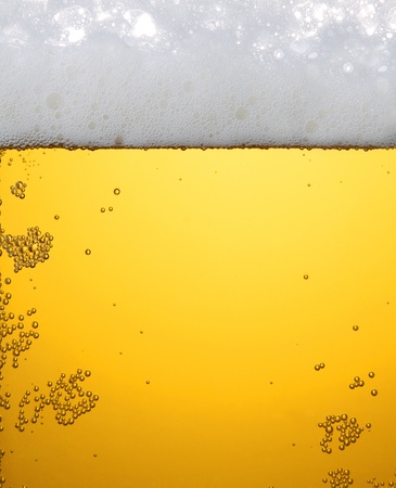 Light beer in glassの写真素材