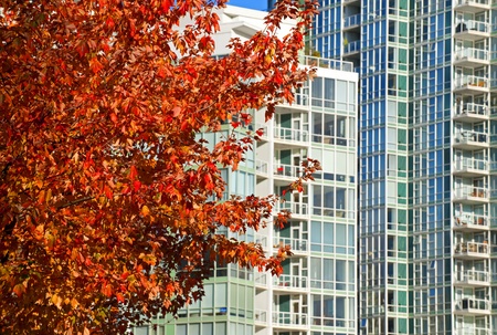 Vancouver buildings with fall colorsのeditorial素材