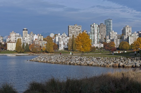 Yellow tree in the West End of Vancouverのeditorial素材