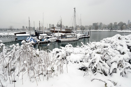 Marina and boats covered by snow in Vancouverの写真素材