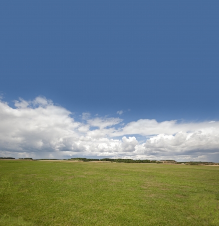 Green meadows with blue sky and cloudsの写真素材