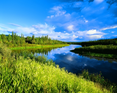 River in the scenery with green meadows, Yukon, Canadaの写真素材