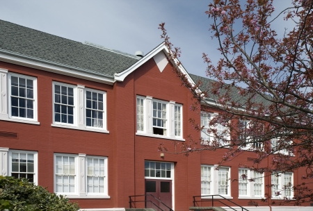 Historic school with a blossom tree