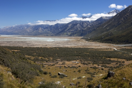 New Zealand - Westland National Park and Fox Glacier Highwayの写真素材