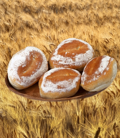 Buns and baguettes, rye field in the background, の写真素材