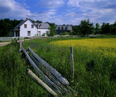 Village - historic village with a field and housesの写真素材