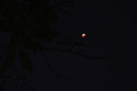 blood moon