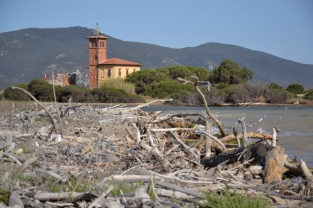 Coastline in Tuscany, Italyのeditorial素材