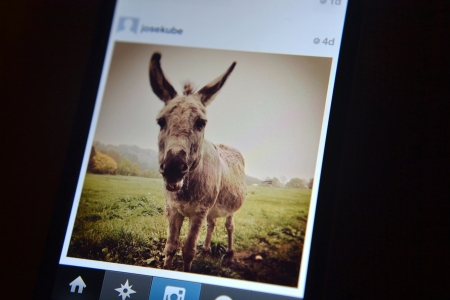 Photo taken with Instagramのeditorial素材
