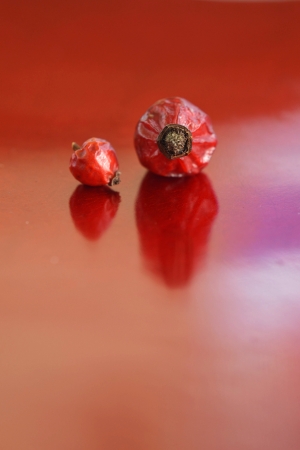 Dogrose berryの写真素材