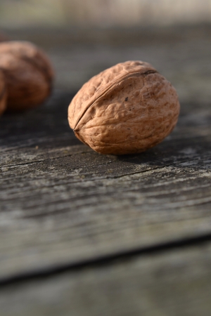 Walnutの写真素材