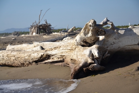 Hut on a beachの写真素材