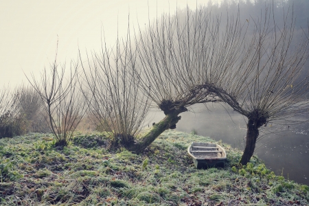 Foggy morningの写真素材