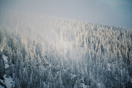 Snowy country near Labska bouda, Krkonose mountains, Czech republicの写真素材