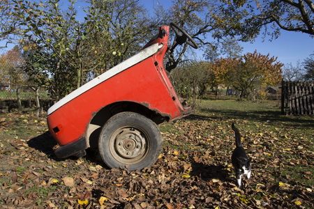 Rusty vintage car cut in half on a sunny day in autumn gardenの写真素材