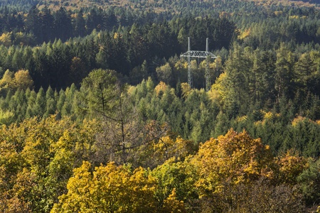 Electricity pylon in colorful forest in autumn natureの写真素材