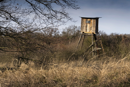 Wooden hunters high seat hide in forest with blue sky backgroundの写真素材