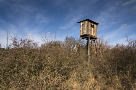 Wooden hunters high seat hide in forest with blue sky backgroundの写真素材