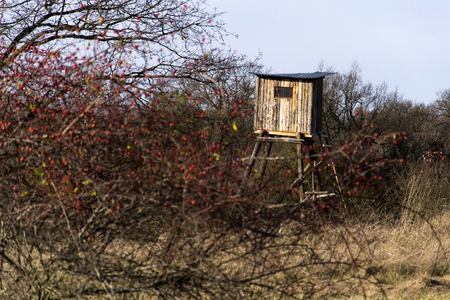 Wooden hunters high seat hide in forest with blue sky backgroundの写真素材