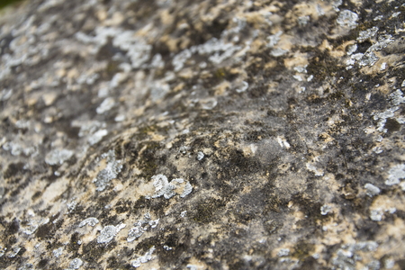 Rock background - gray and brown stone surface detailの写真素材