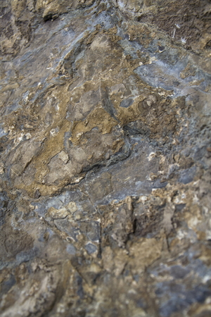 Rock background - gray and brown stone surface detailの写真素材