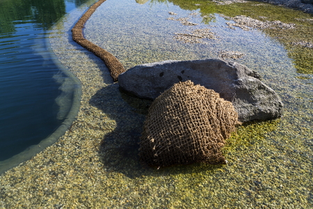 Textile fabric net in natural swimming pond for purifying plantsの写真素材