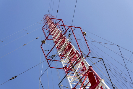 Men painting the highest Czech construction radio transmitter tower Liblice の写真素材