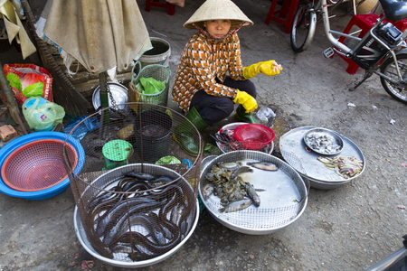 MY THO, VIETNAM - FEBRUARY 15: Woman sells fish on street market on February 15, 2012 in My Tho, Vietnam.のeditorial素材