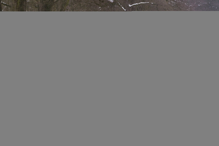 KLASTEREC NAD ORLICI, CZECH REPUBLIC - JANUARY 29: Motorcycle skijoring racers ride on track of Czech championship competition on January 29, 2017 in Klasterec nad Orlici, Czech republic.の写真素材