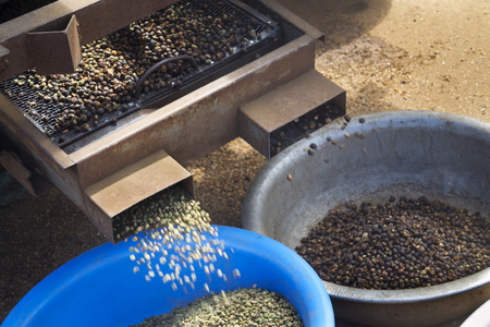 Coffee beans sorted by machine on street in Vietnamの写真素材