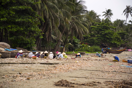MUI NE, VIETNAM - FEBRUARY 7: Women processing seashells with fishing boats in background on February 7, 2012 in Mui Ne, Vietnam.のeditorial素材