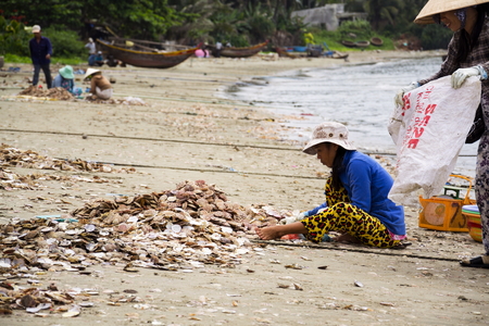 MUI NE, VIETNAM - FEBRUARY 7: Women processing seashells with fishing boats in background on February 7, 2012 in Mui Ne, Vietnam.のeditorial素材