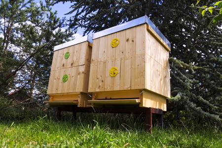 Bees flying into wooden hive on a sunny dayの写真素材