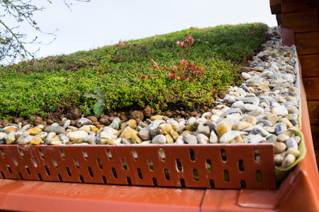 Detail of stones on extensive green living roof vegetation covered の写真素材