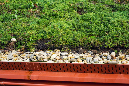 Detail of stones on extensive green living roof vegetation covered の写真素材