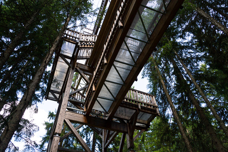 Tree-top walk in Saalbach-Hinterglemm valley, Alps Mountains, Austria, summer day
