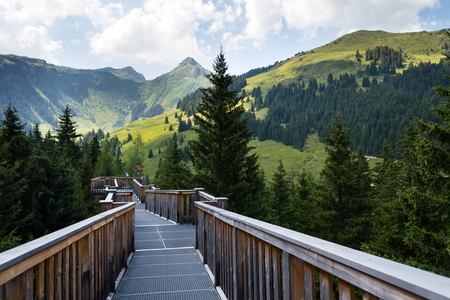 Tree-top walk in Saalbach-Hinterglemm valley, Alps Mountains, Austria, summer dayの写真素材