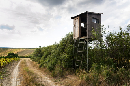 Wooden hunters high seat hide on field with cloudy skyの写真素材