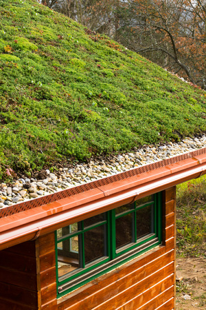 Wooden house with extensive green living roof covered with vegetationの写真素材