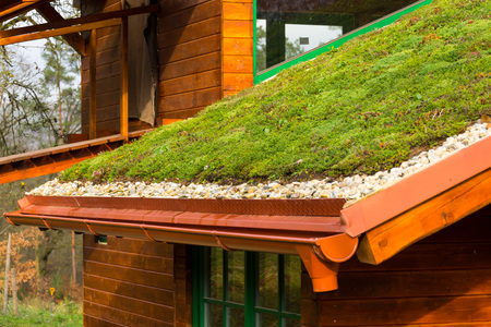 Wooden house with extensive green living roof covered with vegetationの写真素材