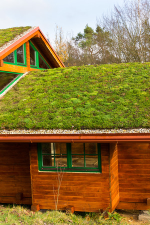Wooden house with extensive green living roof covered with vegetationの写真素材