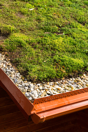 Wooden house with extensive green living roof covered with vegetationの写真素材