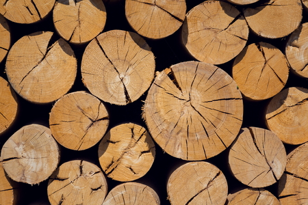 Pile of worked wooden roundish clear beautiful logs, stacked firewoodの写真素材