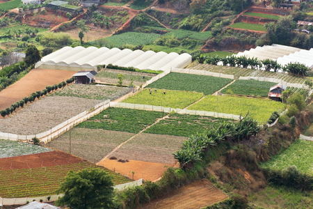 People work on small terraced traditional colorful fields in Vietnam, aerial view