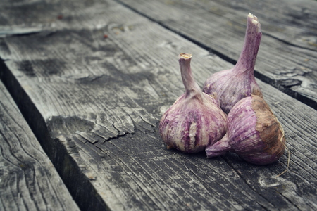 Violet Garlic cloves, Allium sativum stick on wooden table outdoorsの写真素材