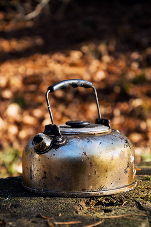Smoked tin tea kettle stands in forest, fallen leaves nature background, suny autumn dayの写真素材