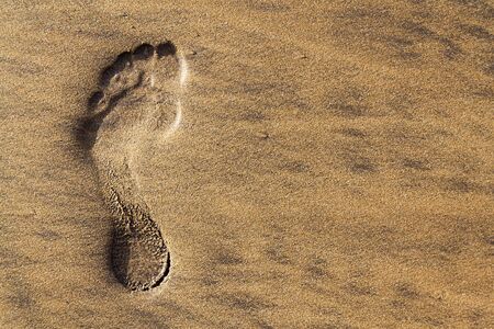 Single human barefoot footprint of left foot in brown yellow sand beach background, summer vacation or climate change concept, copy spaceの写真素材